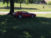 post-37-0-58953000-1379870566_thumb.gif
