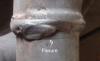 post-1466-13610118798784_thumb.jpg