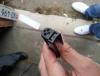 post-7019-0-94040100-1444499850_thumb.jp