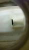 post-8056-0-90354100-1448404266_thumb.jp