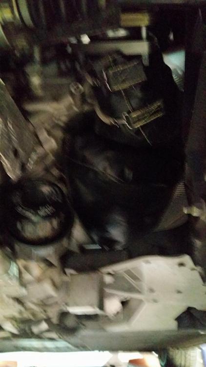 20151220_152441.jpg