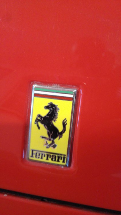 f355 gts 6.jpg
