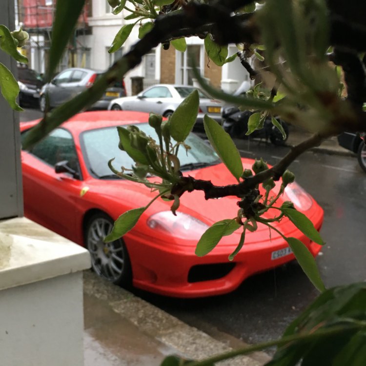 Rain.jpg