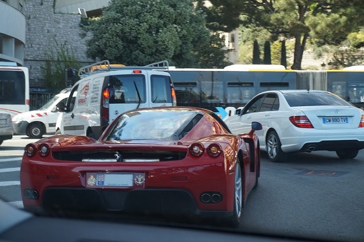 enzo.jpg