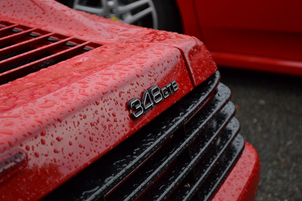 DSC_0146 (Copier).JPG