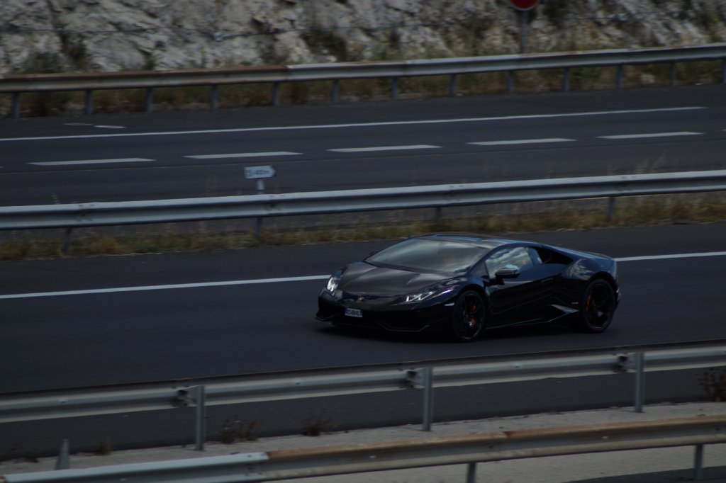 DSC06533.jpg