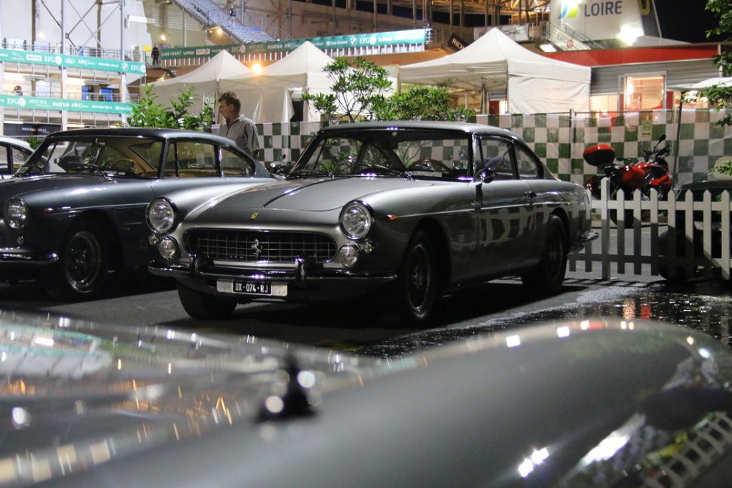 IMG_1313a.jpg