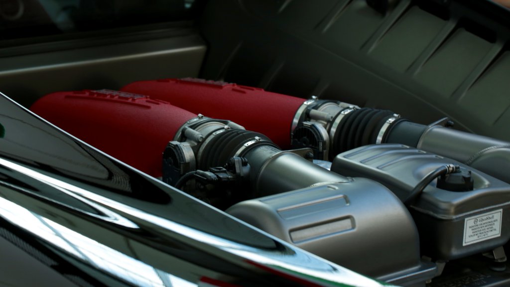 6I8A3965.jpg