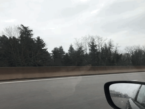 IMG_6467.GIF