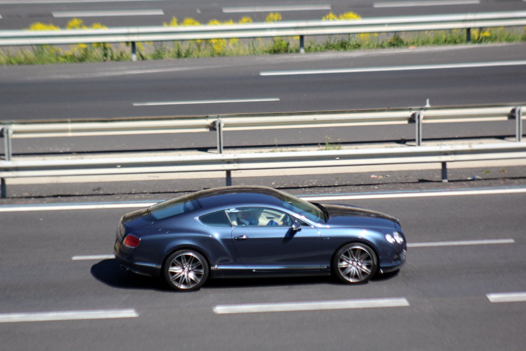 IMG_4560.jpg