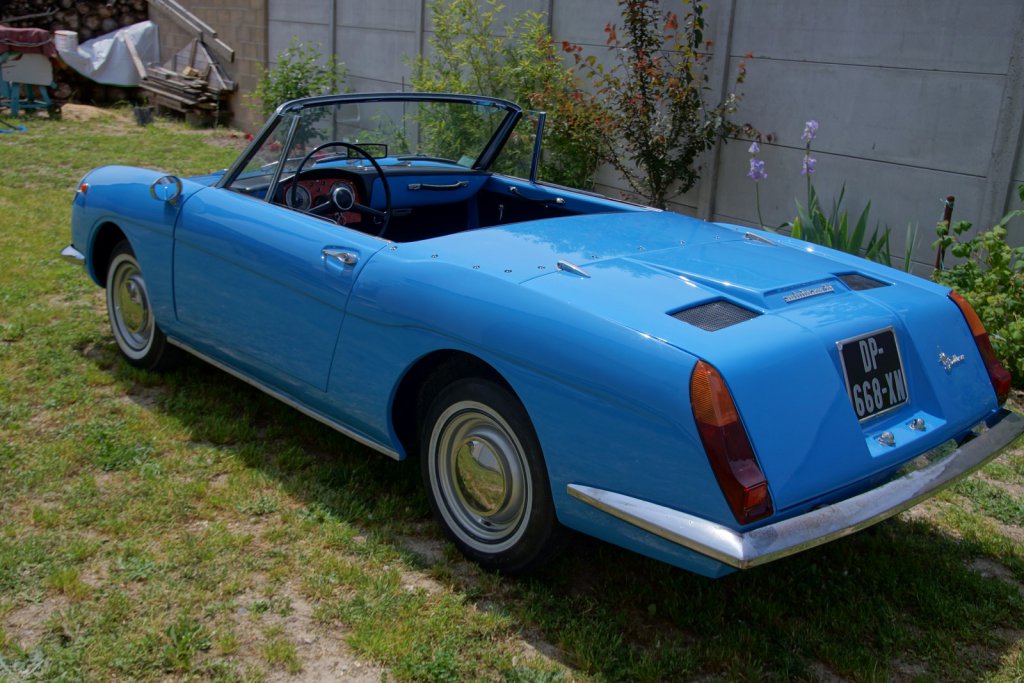 stellina59 (web).jpg