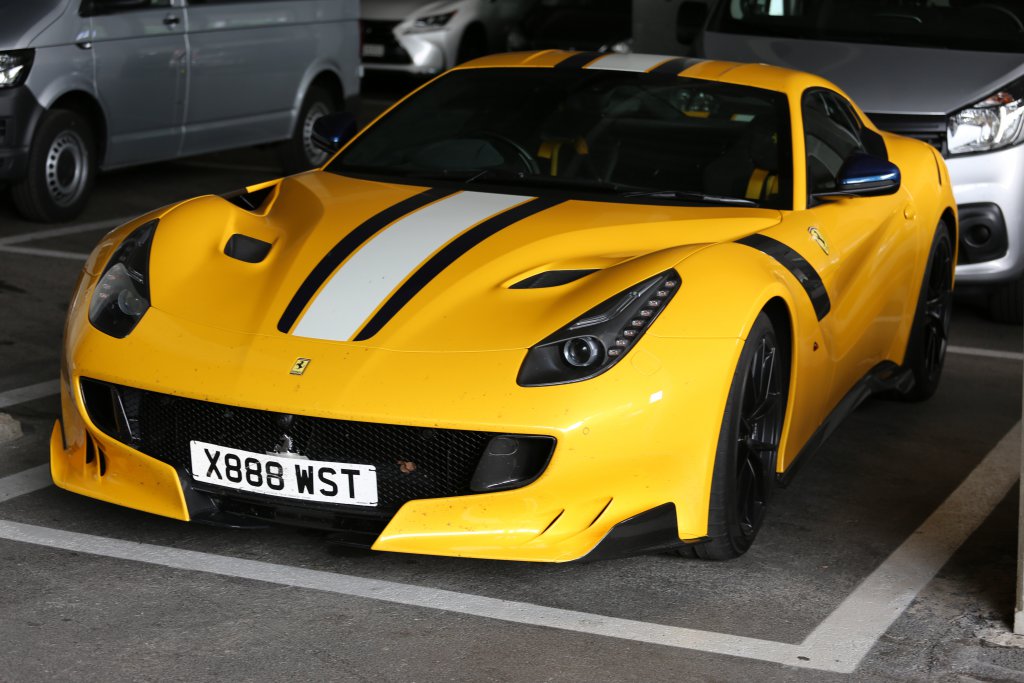 6I8A3562.JPG