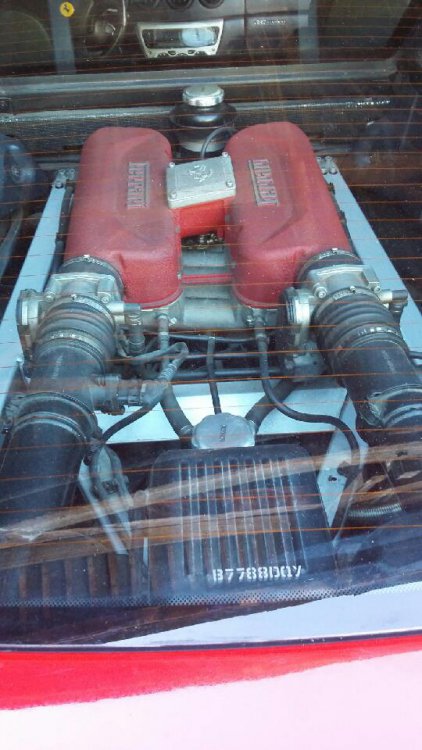 658208918[1].jpg