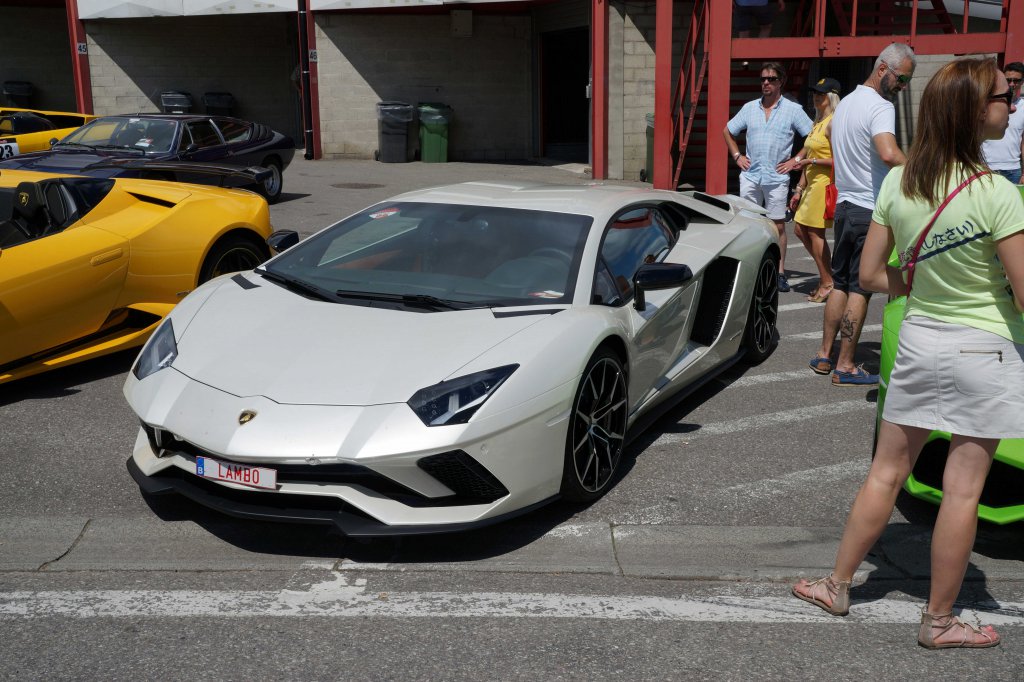 Lambo-6.thumb.JPG.ed4a27f6cd01763c9f39b996a1a52b92.JPG