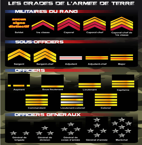 5969d7737b5df_Gradearmedeterre.png.25a7b80b3c05dae93bd30a744133e63c.png