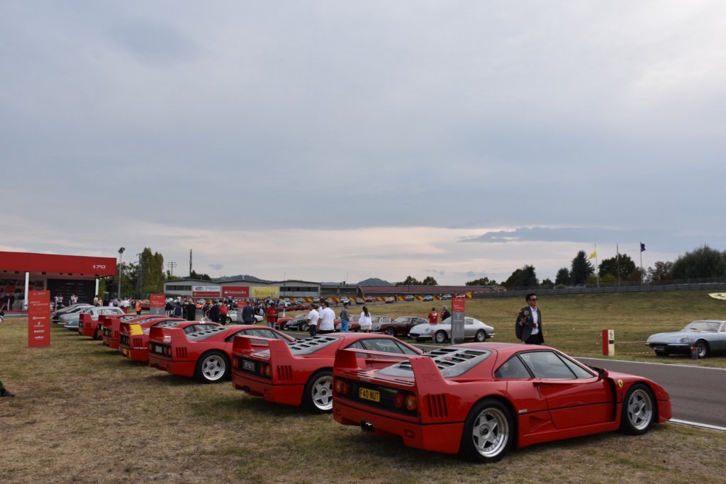 DSC_0003.jpg