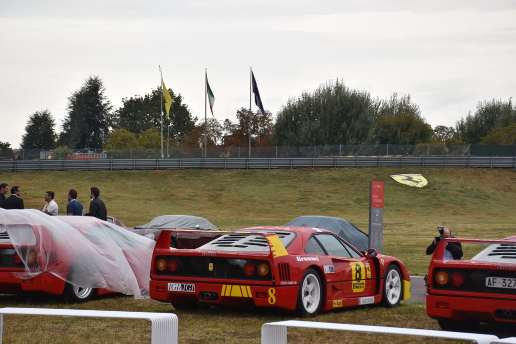 DSC_0078.jpg