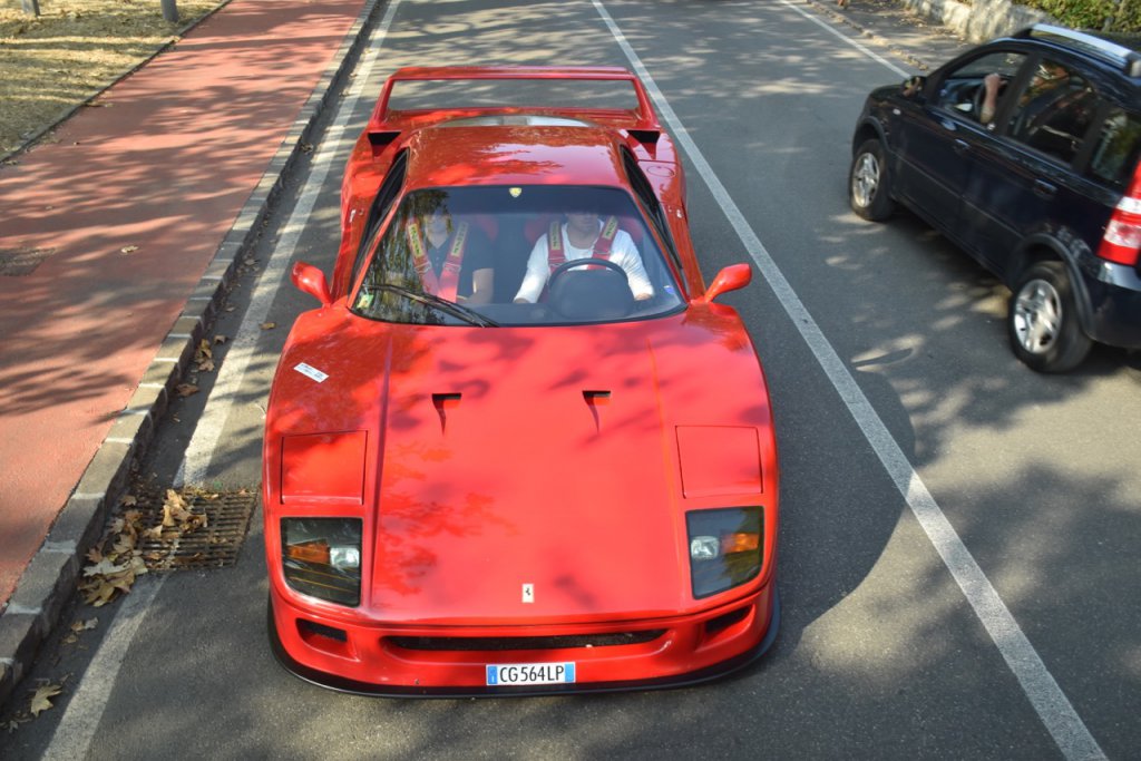 DSC_0619.jpg