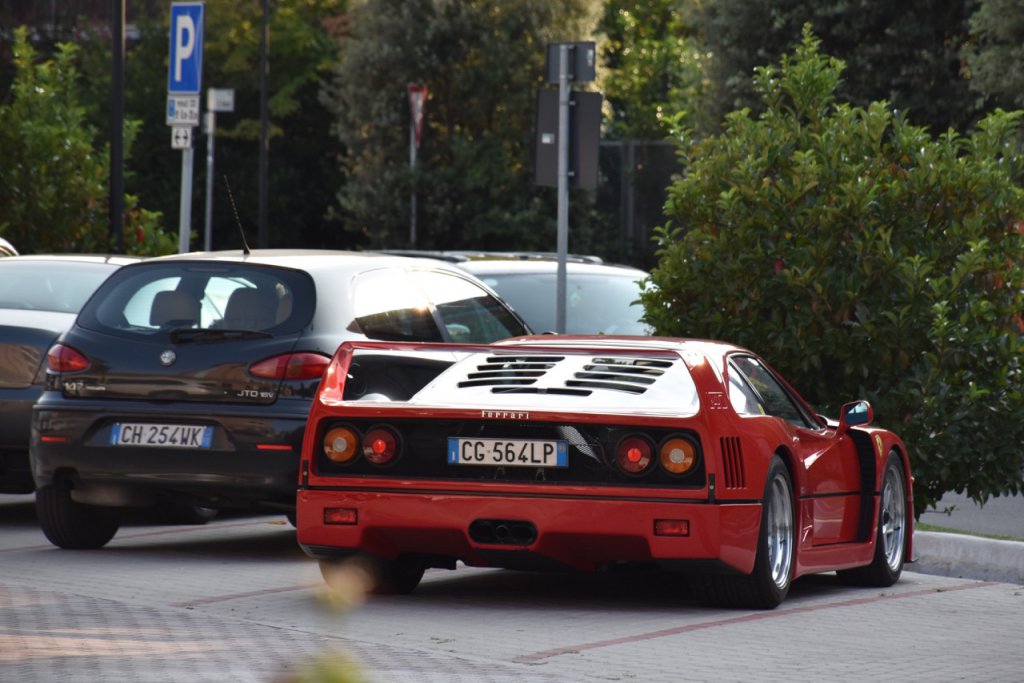 DSC_0687.jpg