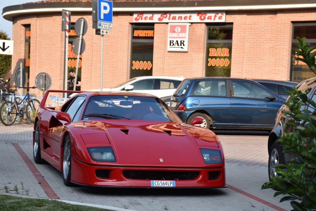 DSC_0689.jpg
