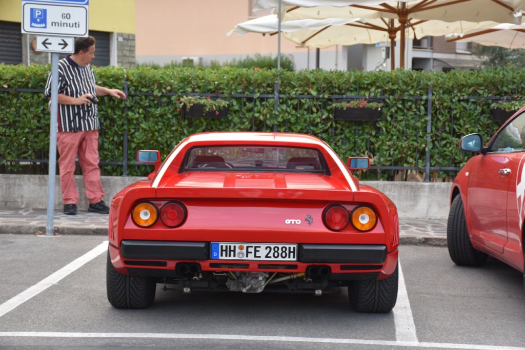 DSC_0785.jpg