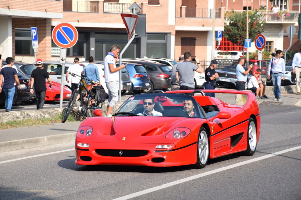 DSC_0811.jpg