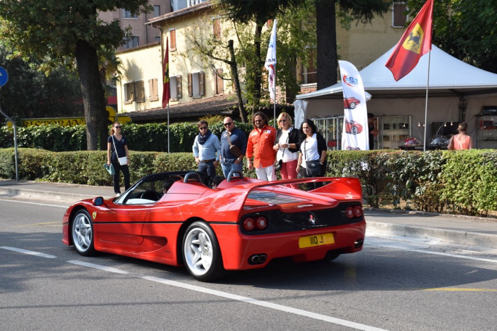 DSC_0813.jpg