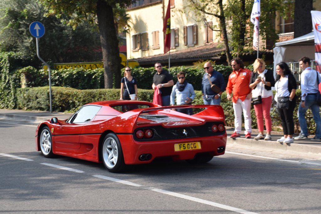 DSC_0828.jpg