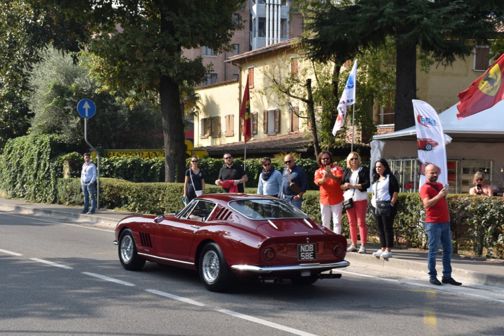 DSC_0833.jpg