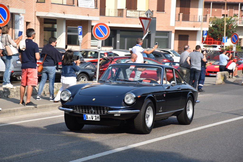 DSC_0841.jpg
