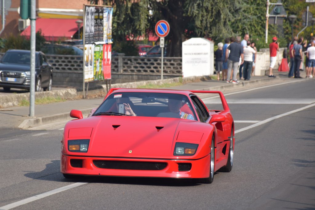DSC_0860.jpg