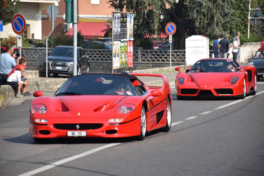 DSC_0874.jpg