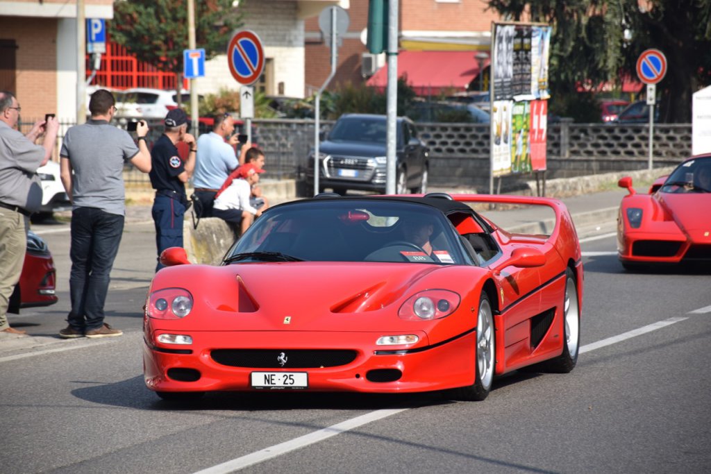DSC_0875.jpg