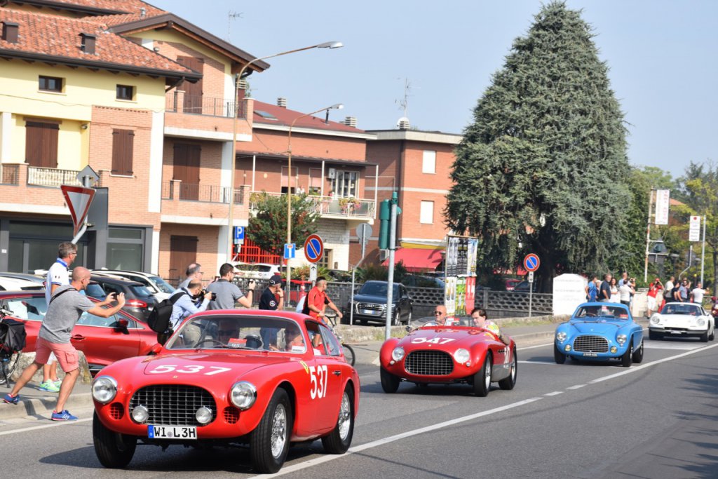 DSC_0896.jpg