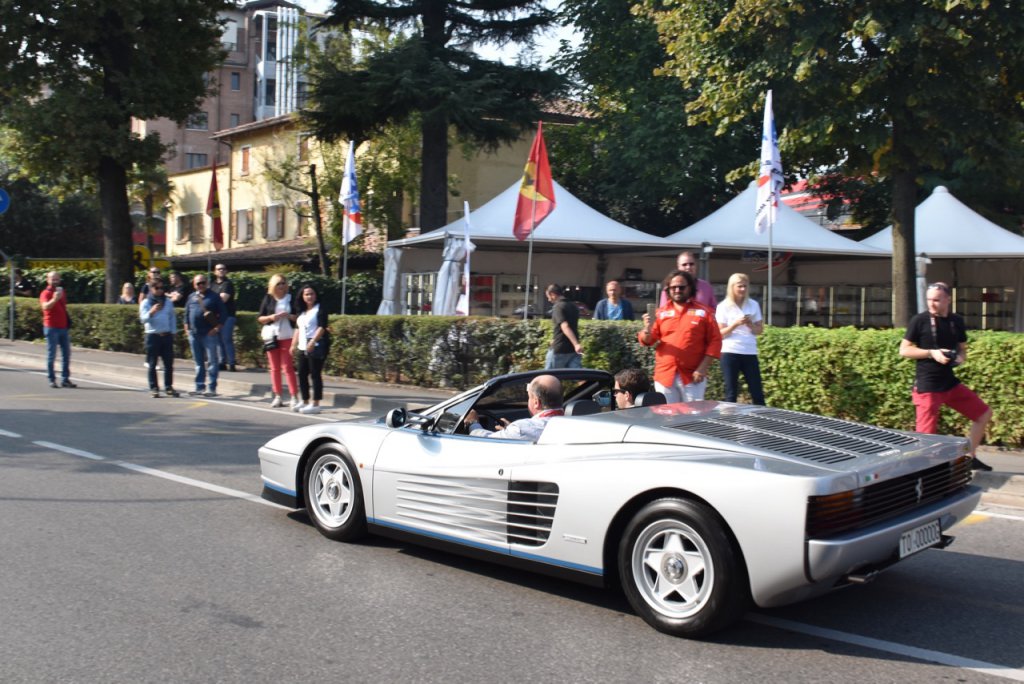 DSC_0931.jpg