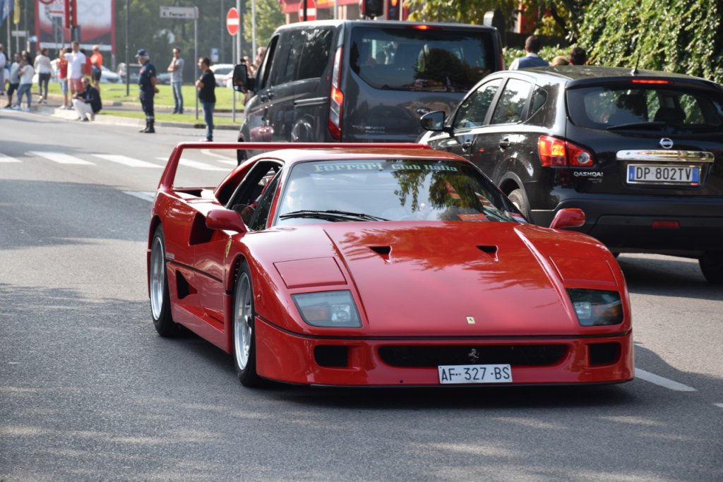DSC_1003.jpg