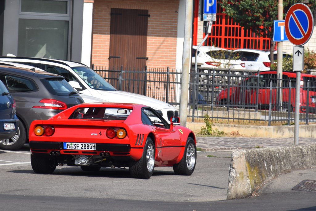 DSC_1051.jpg