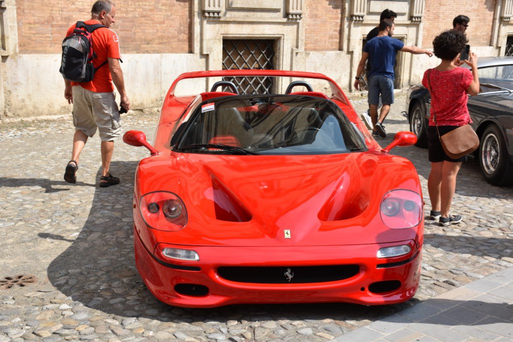 DSC_1141.jpg