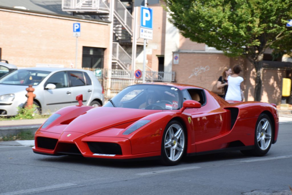 DSC_1207.jpg