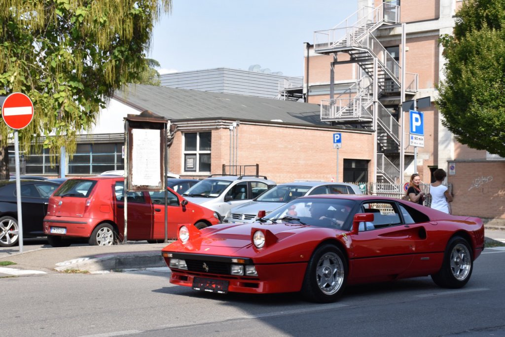 DSC_1211.jpg