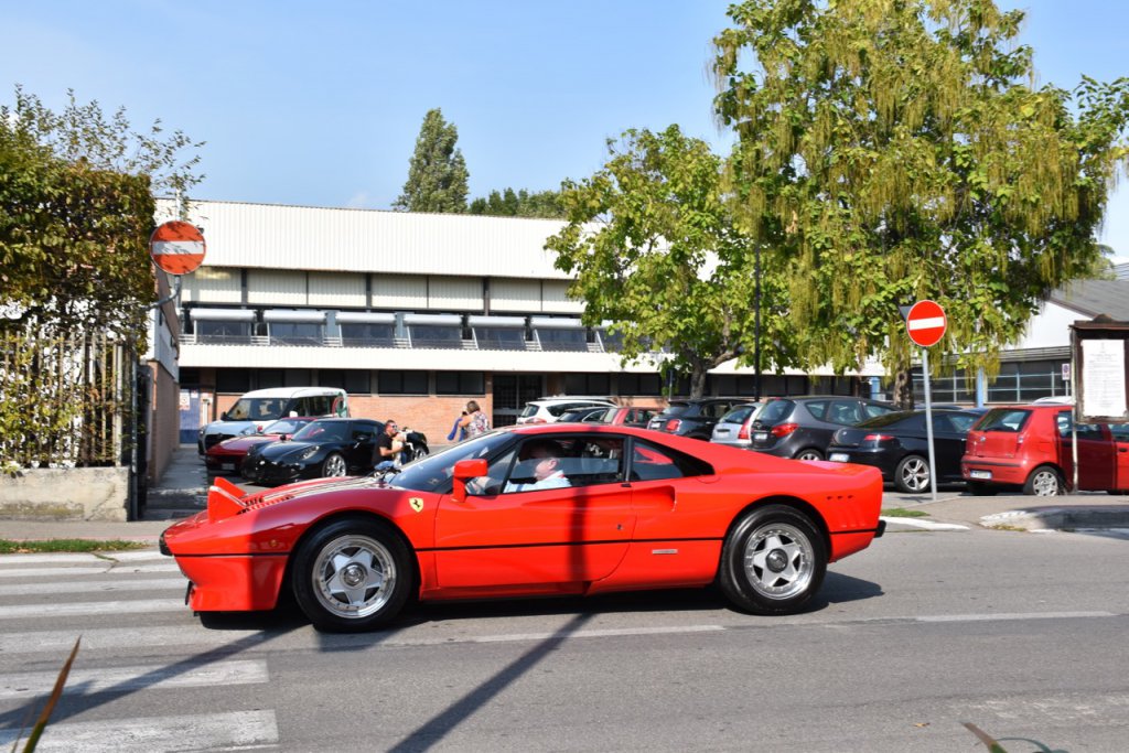 DSC_1213.jpg