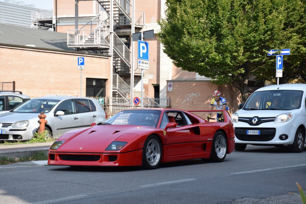 DSC_1219.jpg