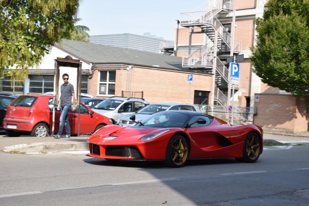 DSC_1227.jpg