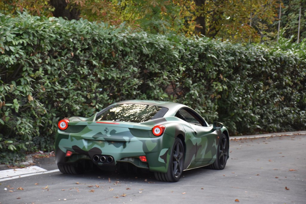 DSC_1247.jpg