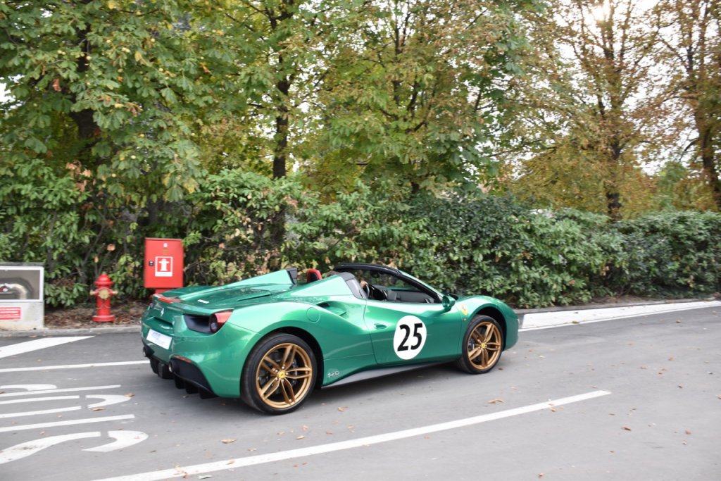DSC_1249.jpg