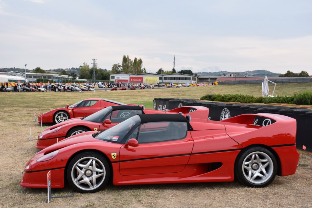 DSC_1254.jpg