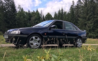 59fc1aeb84182_IMG_1283copie.JPG.62457f261a420d0b7893eef89b2f26c0.JPG