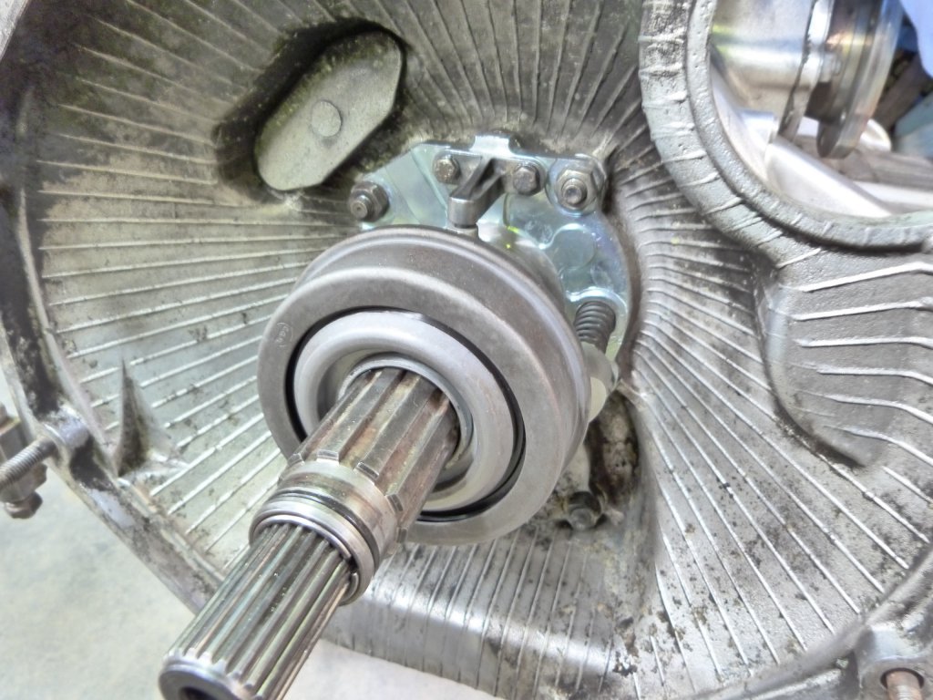 bis.thumb.jpg.b312a8aa7fd39351ea106bae8a3c9543.jpg