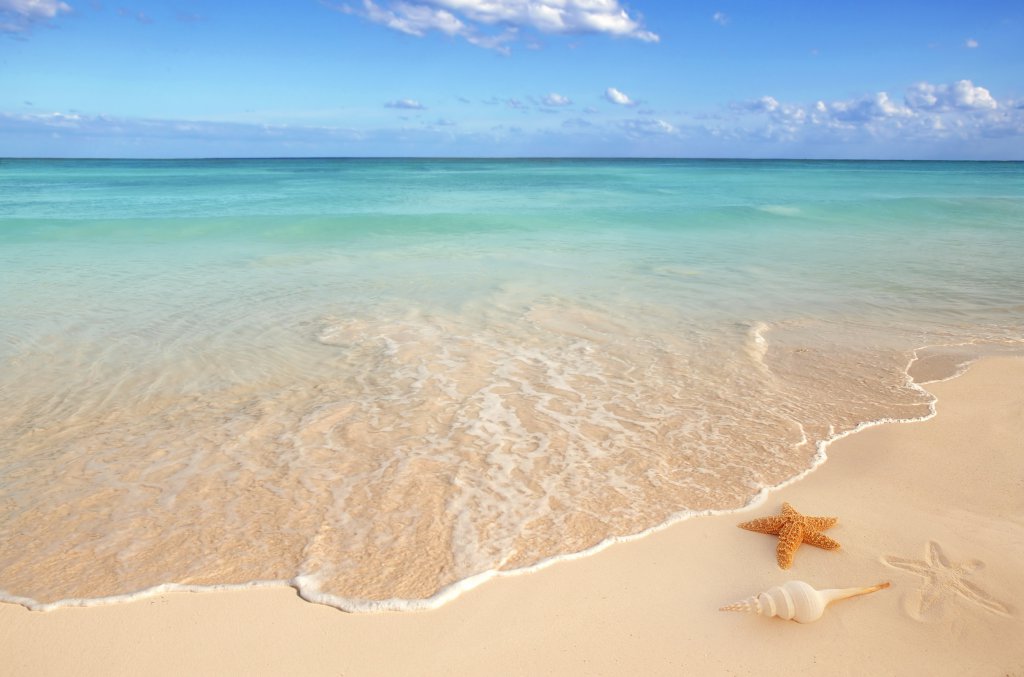 plage20111102.jpg