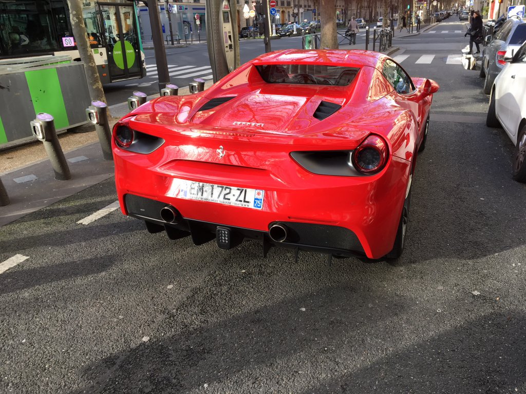 image.jpeg